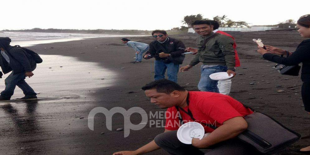 Musisi Lokal dan Nasional Lepasliarkan Ratusan Tukik di Pantai Keramas