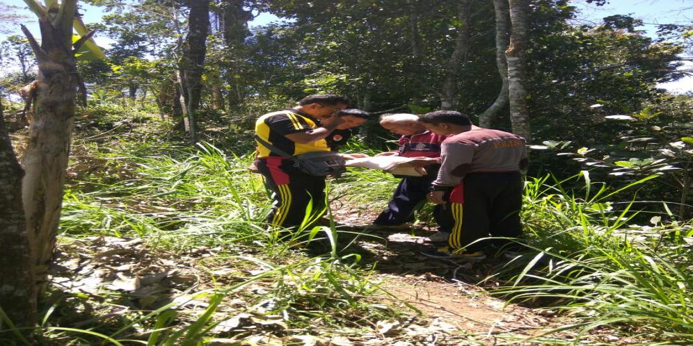 Polisi Amankan Pelaku Pencurian Kayu Hutan Lindung Di Kawasan Kintamani