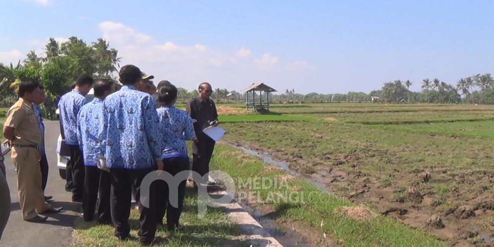 Lemahnya Pengawasan,Sidak Pansus DPRD Jembrana Temukan Ratusan Pelanggaran Jalur Hijau