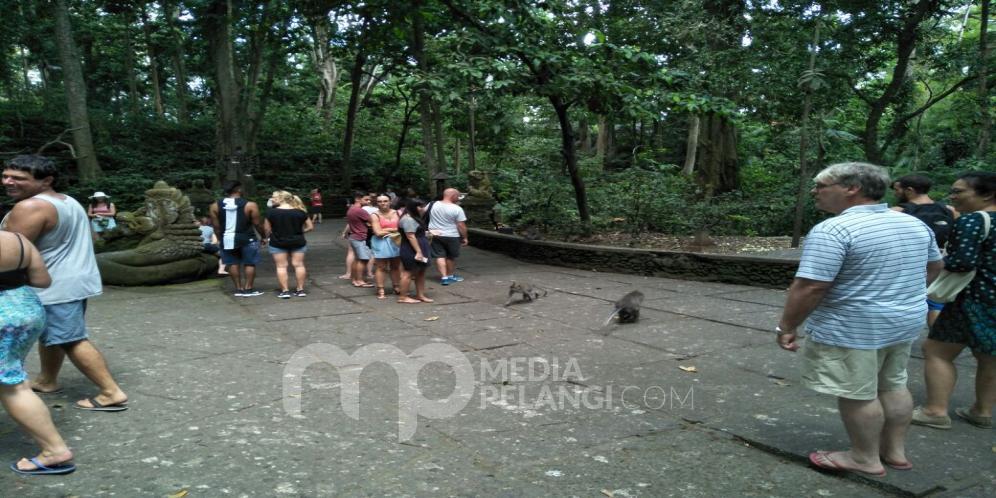 Ramai di Kunjungi, Obyek Wisata Mongkey Forest Ubud, Pariwisata Berbasis Budaya Alam Dan Lingkungan