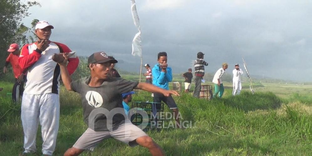 Pecinta Burung Merpati Jembrana, Berkompetisi Dalam Lomba Balap Merpati