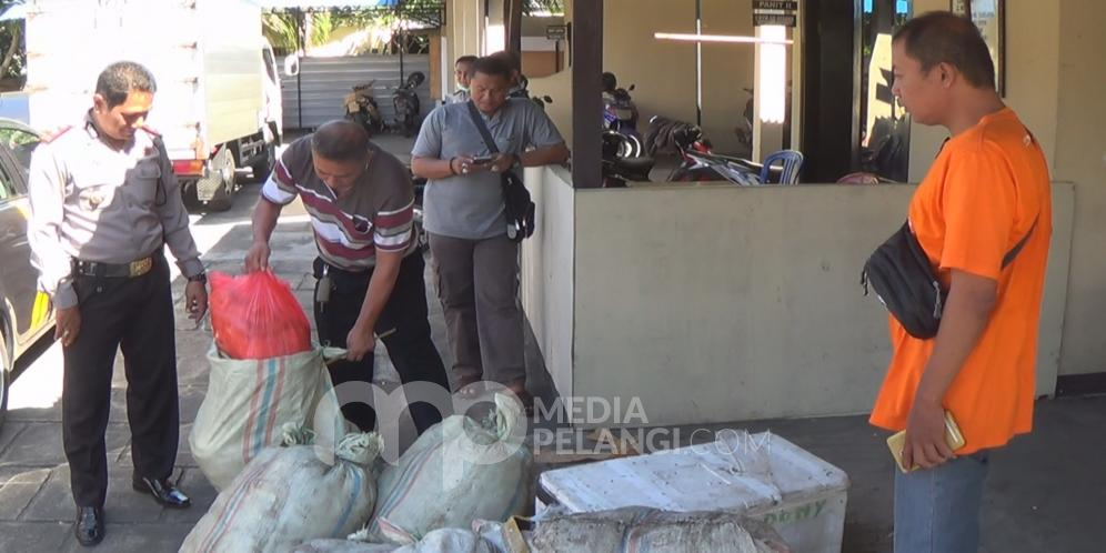 Polsek Gilimanuk Gagalkan Penyelundupan Kulit Sapi, Telur Puyuh dan Udang Beku