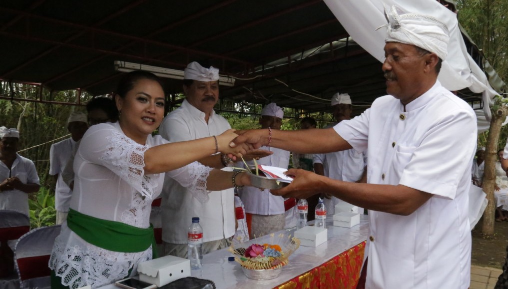 Bupati Eka Hadiri Pemlaspasan Beji  Pura Puseh Lan Desa , Desa Adat Tibubiu