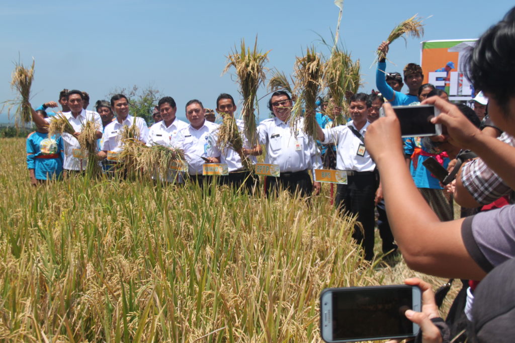 Sekolah Lapang Iklim Ditutup, Hasil Panen Meningkat Jadi 7 Ton