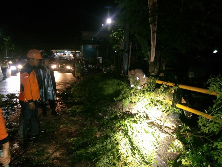 Saat Berkendara, Muhder Tertimpa Pohon Di Jalan Pulau Menjangan Dauh Pala