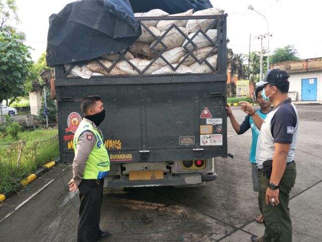 Polisi Pelabuhan Gilimanuk Gagalkan Penyelundupan 8 Ton Tulang Tuna dan Tongkol