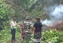 Tebing Longsor Tutup Akses Jalur Wisata Ubud-Tegallalang