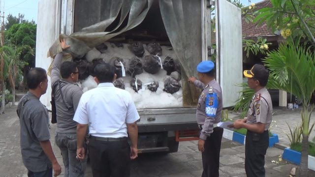 Polisi Gagalkan Penyelundupan 5 Ton Ikan Tuna Dari Jawa