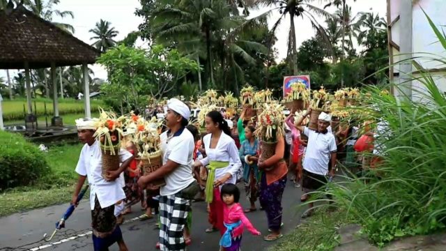 Warga Taro,Gelar Ritual Negtegang Memasuki Masa Panen