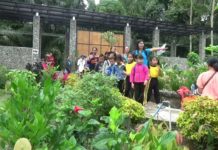 Gianyar Punya Banyak Destinasi Seru untuk Liburan Akhir Tahun