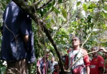 Tragis, Pekak Ledang Gantung Diri di Pohon Kopi