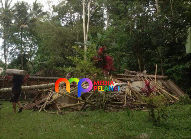 Pohon Kelapa Tumbang Timpa Balai Gong di Kubu