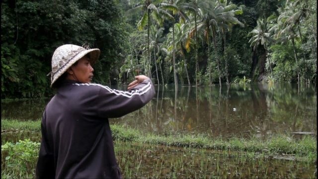 Dampak Banjir Lahar Dingin Gunung Agung Rendam Persawahan Warga