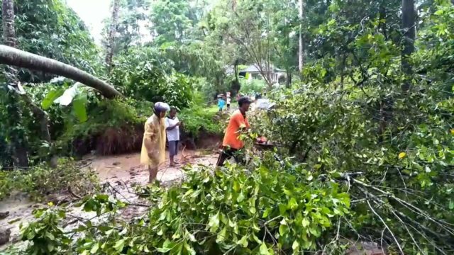 Hujan Deras, Pohon Tumbang dan Longsor di Tegallalang