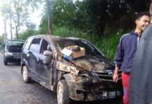 Sopir Ngantuk, Avansa Terperosok ke Kebun