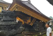 Angin Puting Beliung Hancurkan Merajan Warga