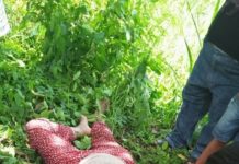 Tabrak Pembatas Jalan, Luh Kariani Tewas di Penelokan
