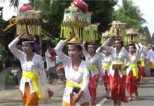 “Nyenuk” di Desa Batuan, Pulihkan Kerukunan Warga