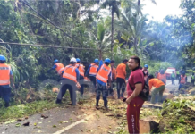 Jaringan Listrik PLN Tertimpa Pohon Tumbang di Tampaksiring