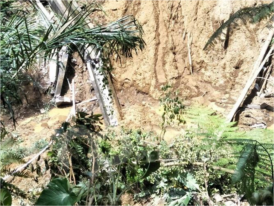 Saluran Irigasi Subak Cebok Tegallalang Ambrol