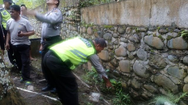 Petik Kelapa Muda, Terya Tewas Terjatuh