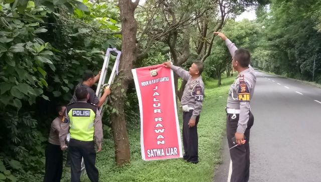 Polisi Pasang Banner Di Jalur Pelabuhan Gilimanuk Rawan Laka