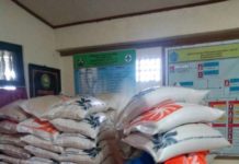 E-Warung di Bangli, Terealisasi Tahun 2019