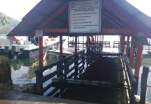 Air Danau Batur Meluap, Darmaga Penyebrangan Kedisan Terendam