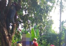 Sakit Tak Kunjung Sembuh, Nenek di Siakin Ini Nekat Gantung Diri