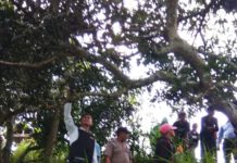 Lagi, Kasus Bunuh Diri Kembali Terjadi di Kintamani