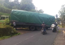 Patah As, Truk Muatan Pakan Ternak Melintang di Jalur Susut-Bangli