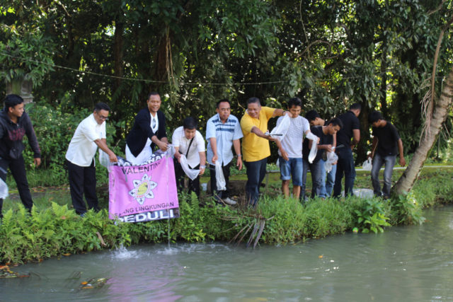 Rayakan Valentine, Desa Kukuh Tebar Ikan di Ulun Danu