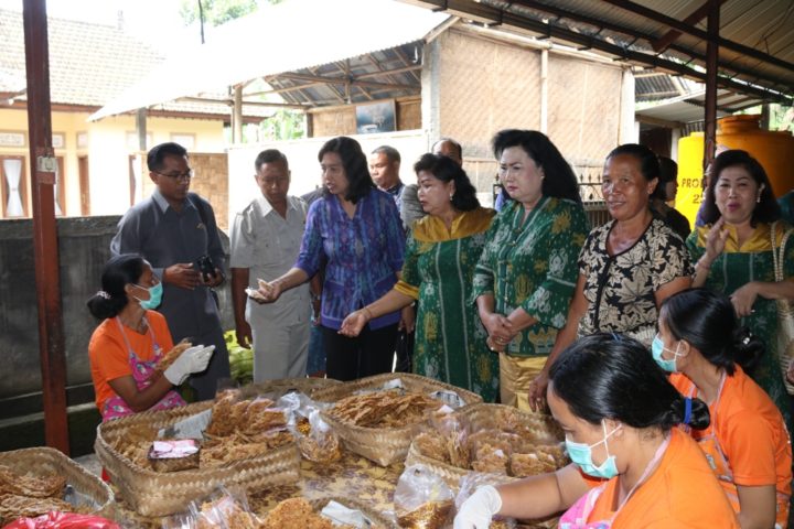 Dekranasda Provinsi Bali, Bina Pengerajin Bangli