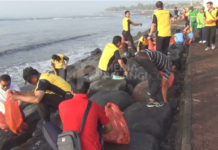 Pastikan Pantai Bersih, Petugas Gabungan Bersihkan Sampah Disela Batu Pantai Lebih