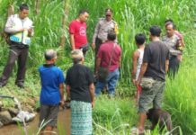 Ditinggal Mandi, Uang Rp 6,3 Juta Milik Petani di Bangli Raib
