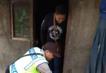 Pencuri Sikat 8 Ekor Ayam Aduan