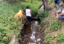 Irigasi Rusak, Puluhan Hektar Sawah Subak Bantas Bale Agung Terancam Gagal Panen