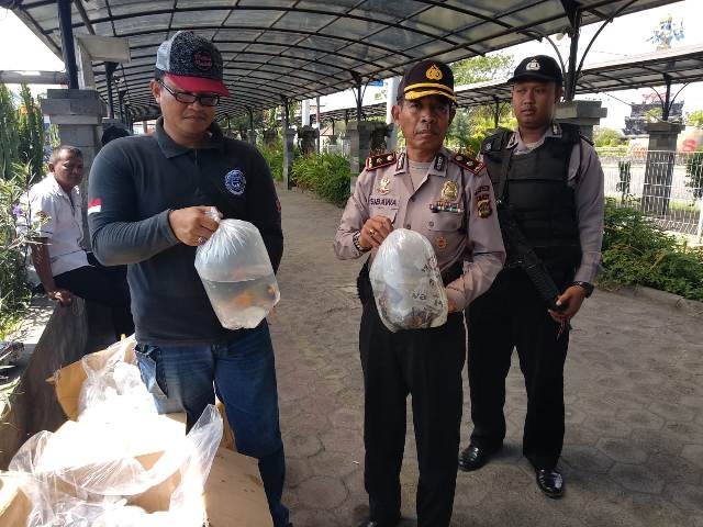 Polsek Gilimanuk Gagalkan Penyelundupan Ikan Hias Tanpa Dokumen