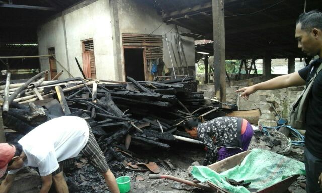 Kandang Babi Terbakar,  Peternak Rugi Puluhan Juta