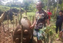 Warga Selat Peken Temukan Sarkofagus Berisi Serpihan Tulang