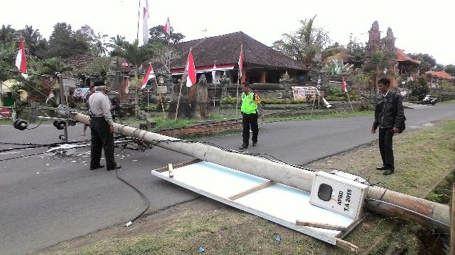 Pohon Kelapa Tumbang Robohkan Tiang Listrik di Biaung