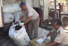 Karantina Gilimanuk Amankan Kulit Sapi Ilegal