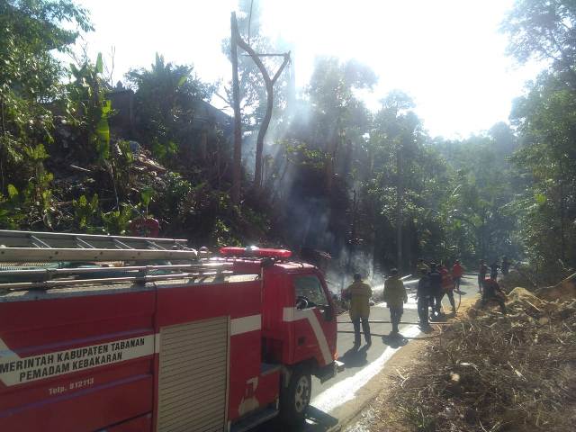 Diduga Puntung Rokok, Sampah di Perean Terbakar