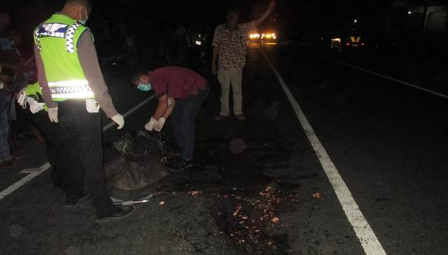 Jatuh dari Boncengan, Suardi Jadi Korban Tabrak Lari Tewas Seketika