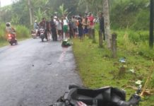 Oleng, Tabrak Pembatas Jalan Siswi SMK Tewas