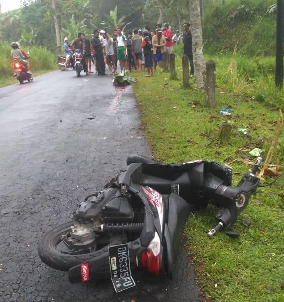 Oleng, Tabrak Pembatas Jalan Siswi SMK Tewas