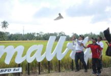 Pelestarian Tyto Alba untuk Jaga Ekosistem dan Wujudkan Pertanian Ramah Lingkungan