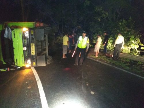 Sopir Kaget, Truk Terguling  Tumpahkan Muatan Kayu