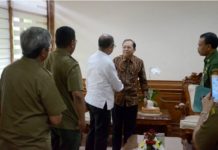 Gubernur Koster Ingin Penataan Kawasan Mangrove Secara Holistik kawasan mangrove