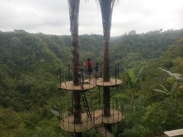 Pesona “Green Valley” Lembah Tukad Melangit Tempat Liburan di Bangli